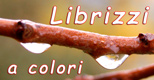 www.librizziacolori.it -  foto di gente e terre di Librizzi